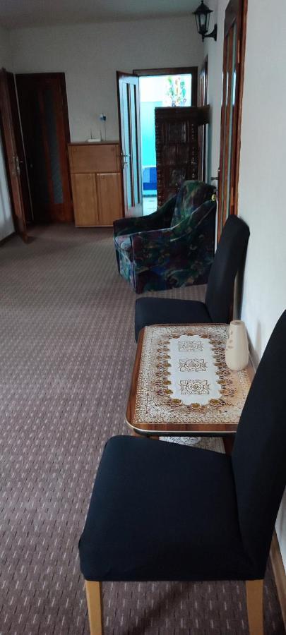 Casa Rebeca Hotel Orsova Kültér fotó
