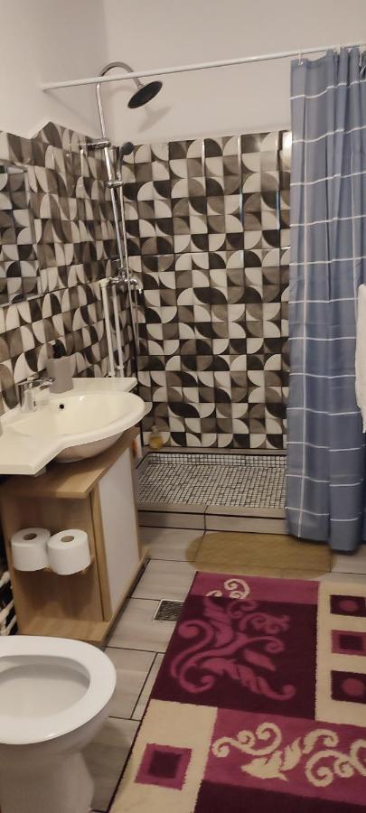 Casa Rebeca Hotel Orsova Kültér fotó